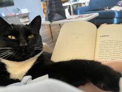 Lost Male Cat last seen Cinnamon Hill Dr and Reese Hill Rd, Salem, OR 97306