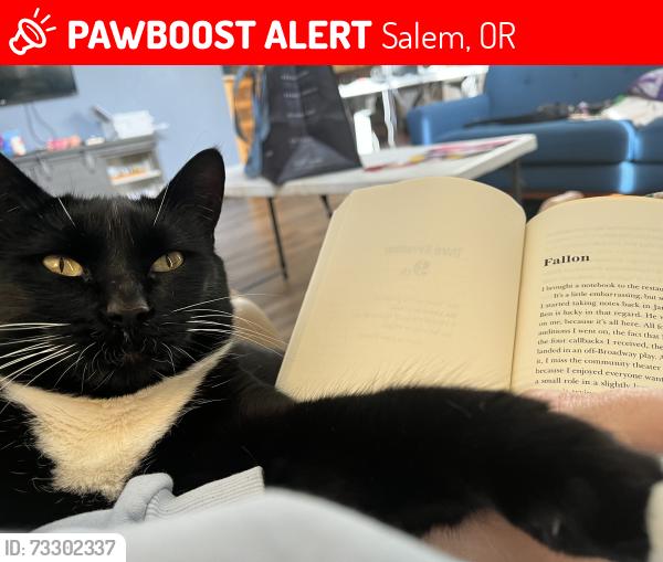 Lost Male Cat last seen Cinnamon Hill Dr and Reese Hill Rd, Salem, OR 97306