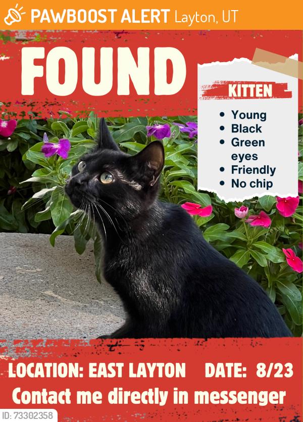Found/Stray Female Cat last seen Near N 2550 E, Layton, UT 84040