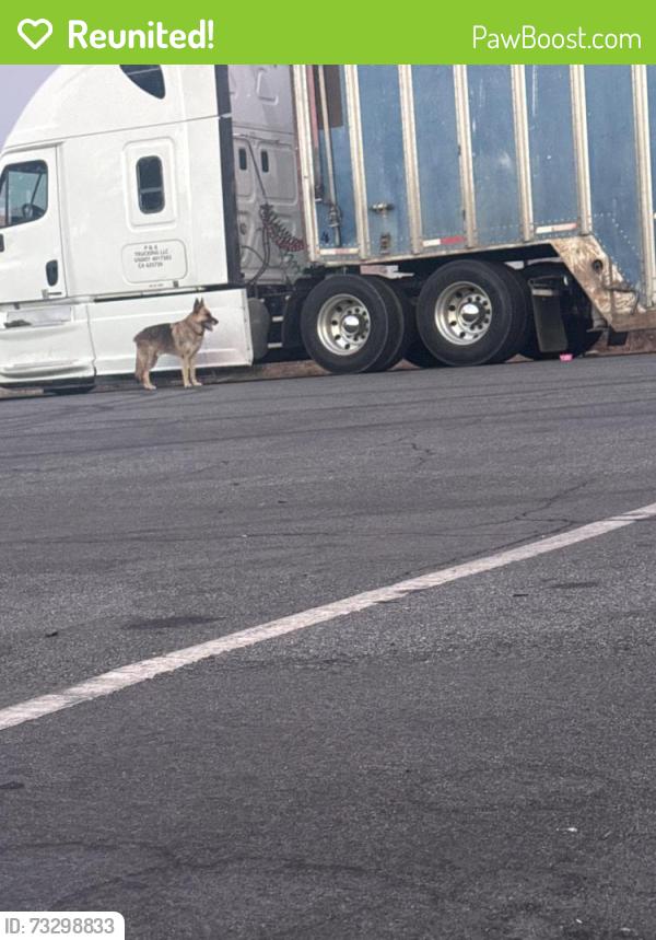 Reunited Male Dog last seen Boys and Girls club, San Jose, CA 95122