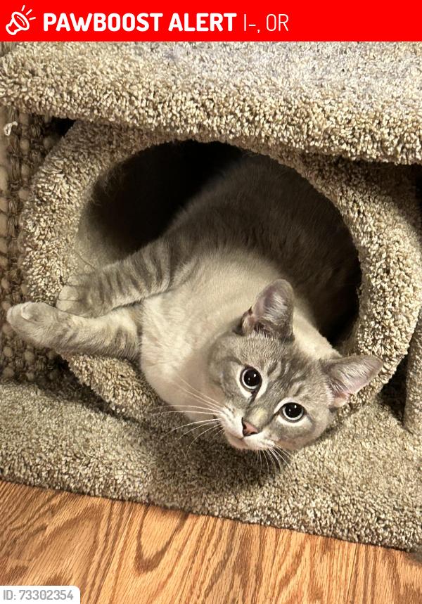 Lost Male Cat last seen I-5 Randolph C Colliers Rest Area just before the Oregon Boarder, I-5, OR 97426