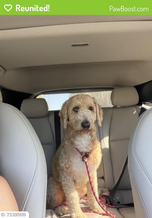 Reunited Male Dog last seen Van Ness Ave School, Los Angeles, CA 90004
