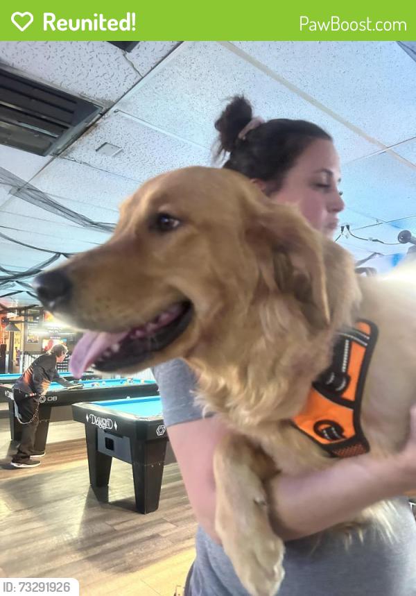 Reunited Male Dog last seen Near E Jewell Ave, Denver, CO 80210
