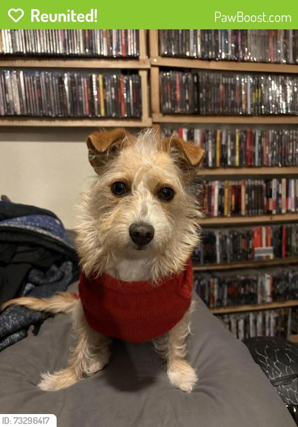 Reunited Female Dog last seen Riverside, Hesperia, CA 92345