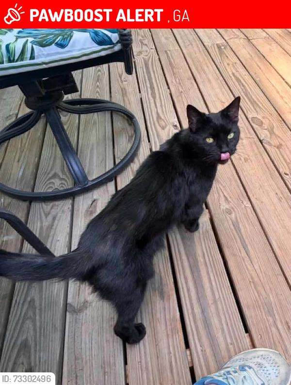 Lost Female Cat last seen Pinecrest Rd, cherokee, Canton, GA 30115