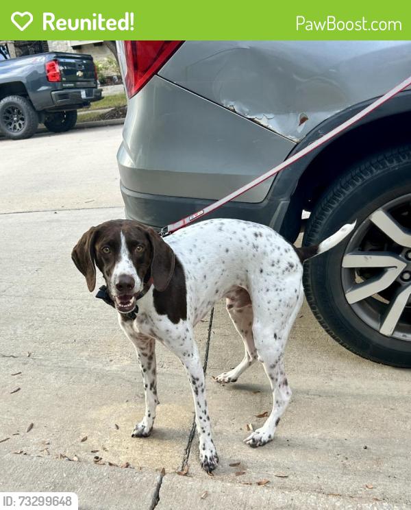 Reunited Male Dog last seen Austin Waters, The Colony, TX, USA, The Colony, TX 75010