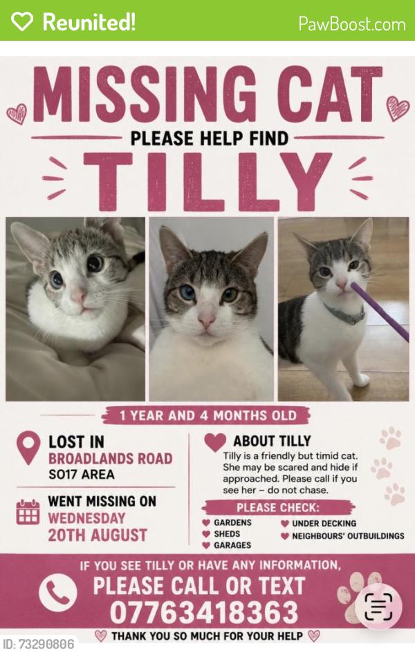 Reunited Female Cat last seen Burgess road swathling, Southampton, England 