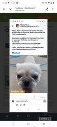 Lost Male Dog last seen Pioneer st, Fort Worth, TX 76119