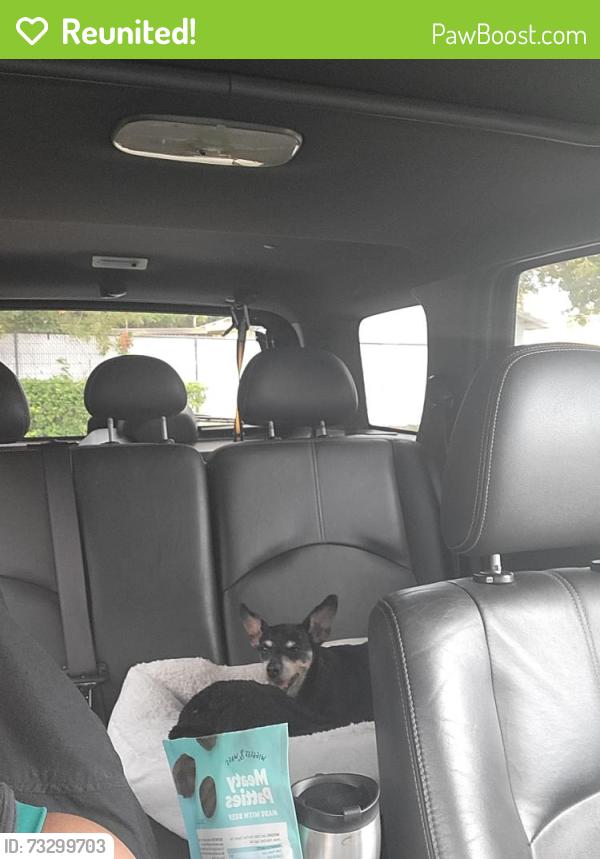 Reunited Female Dog last seen Sw Idaho lane, Port St. Lucie, FL 34953