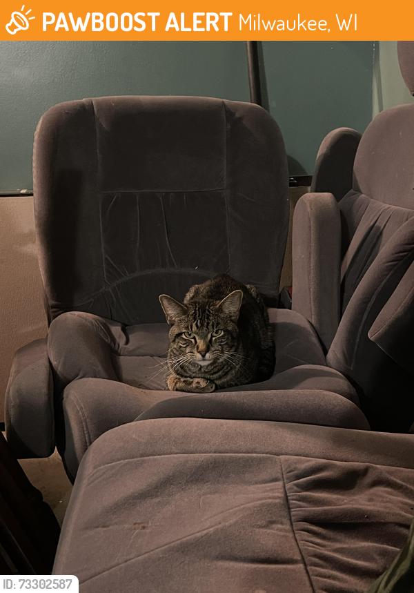 Found/Stray Male Cat last seen 23rd greenfield by gas station, Milwaukee, WI 53221