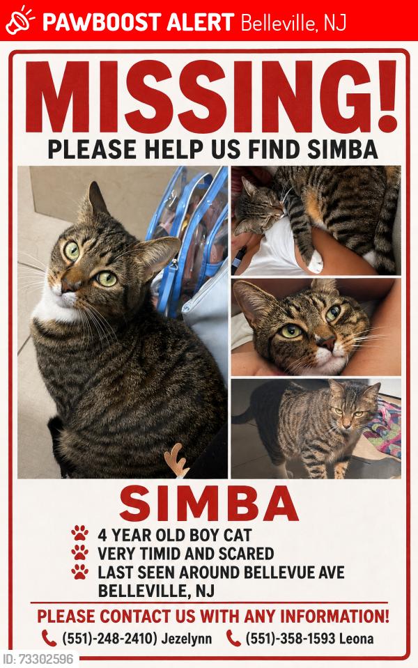 Lost Male Cat last seen bellevue ave, Belleville, NJ 07109