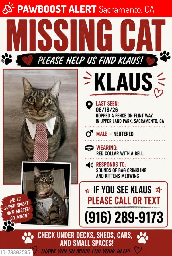 Lost Male Cat last seen Muir way, Sacramento, CA 95818