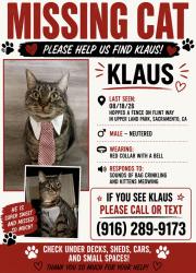 Lost Male Cat last seen Muir way, Sacramento, CA 95818