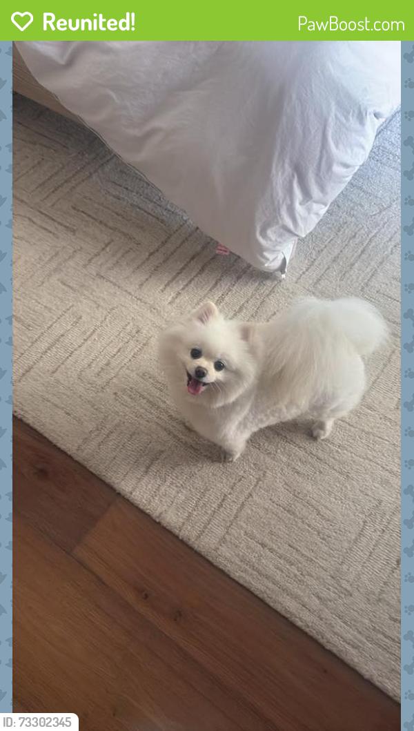 Reunited Female Dog last seen Near via cangrejo, San Diego, CA 92130