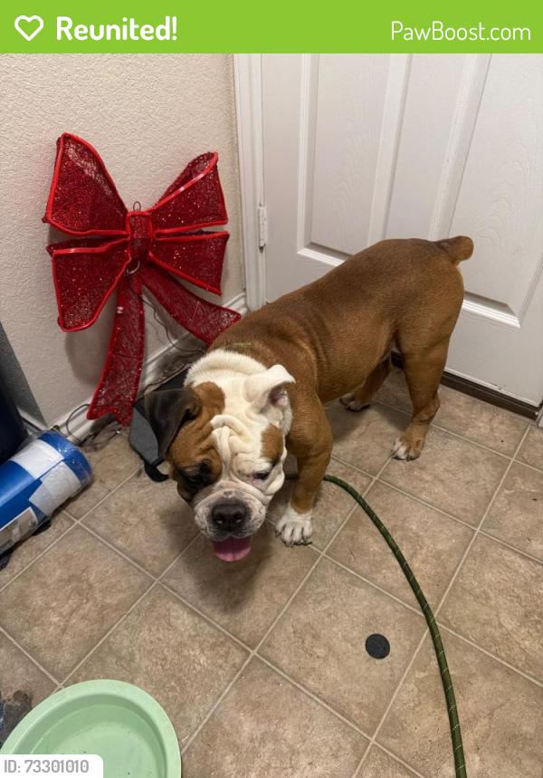 Reunited Male Dog last seen Zarzamora, San Antonio, TX 78224