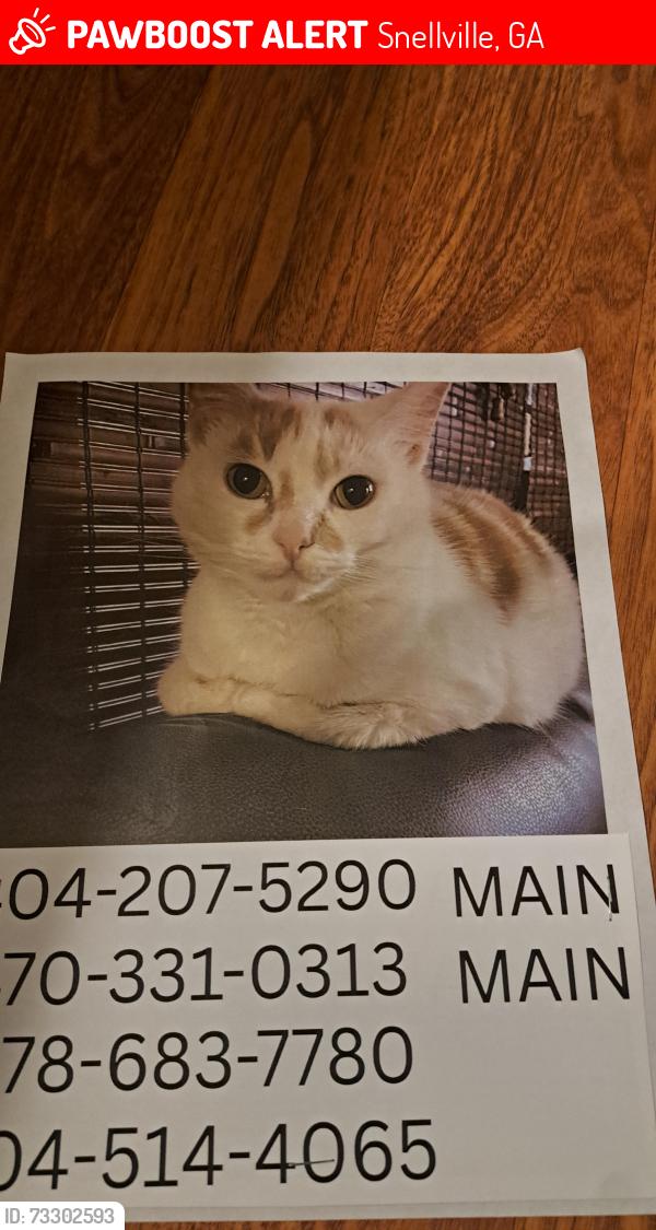 Lost Female Cat last seen Near Dogwood Circle, Snellville, GA 30078