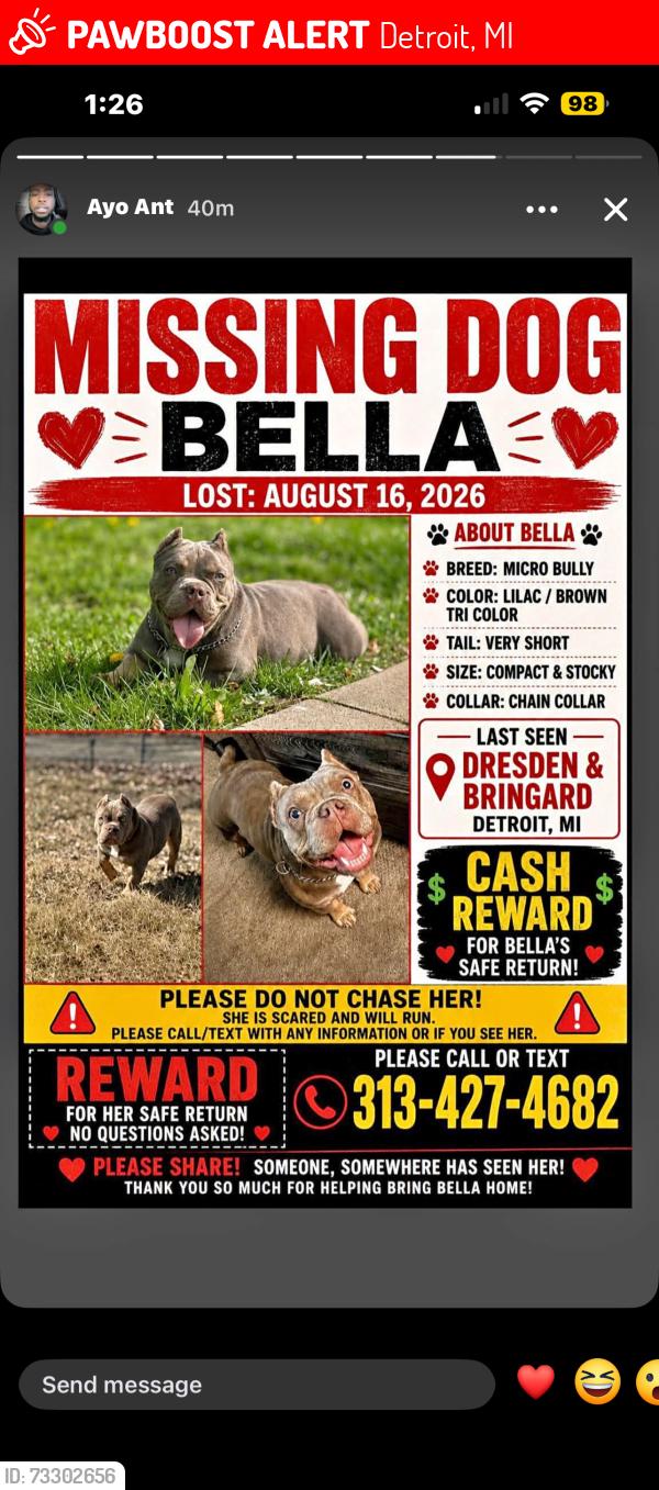 Lost Female Dog last seen 8 mile & Bringard, Detroit, MI 48205