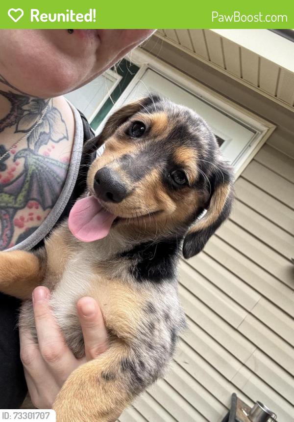 Reunited Male Dog last seen Near E Midway St, Broken Arrow, OK 74012, USA, Broken Arrow, OK 74012