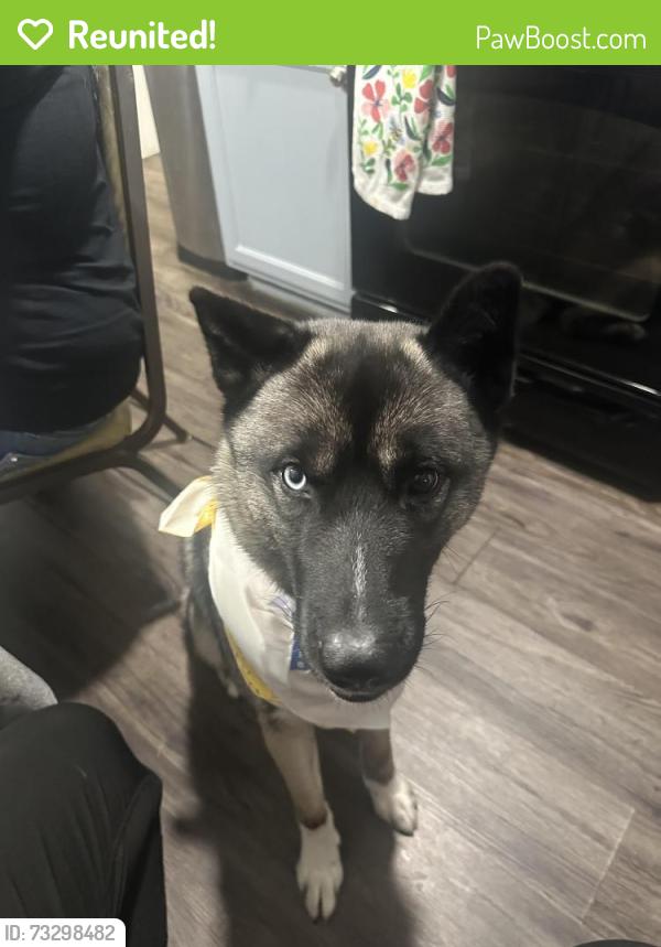 Reunited Male Dog last seen Pendleton pike rd, Indianapolis, IN 46236