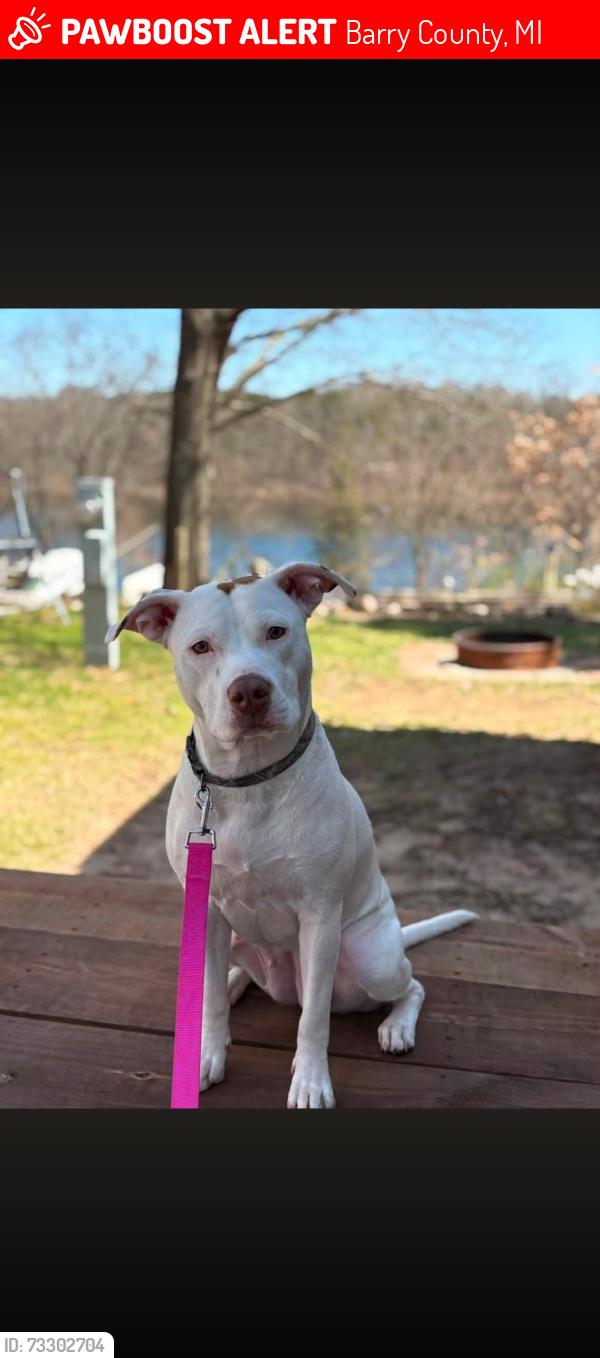 Lost Female Dog last seen Manning Lake Road, Delton, MI, Barry County, MI 49060