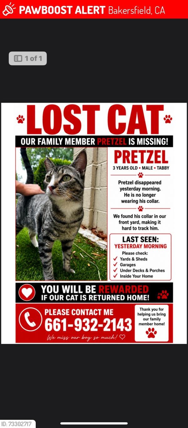 Lost Male Cat last seen McGee, Bakersfield, CA 93307