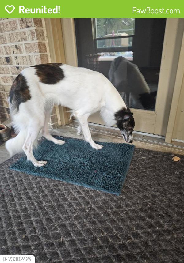 Reunited Female Dog last seen Valley view trail, double oak, Double Oak, TX 75077