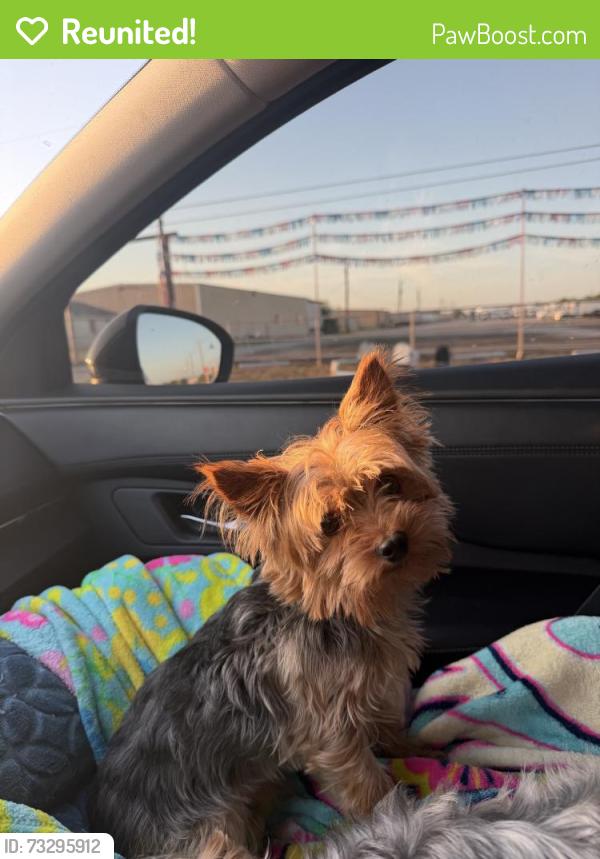 Reunited Male Dog last seen Near SW Loop 410, San Antonio, TX 78242, USA, San Antonio, TX 78242