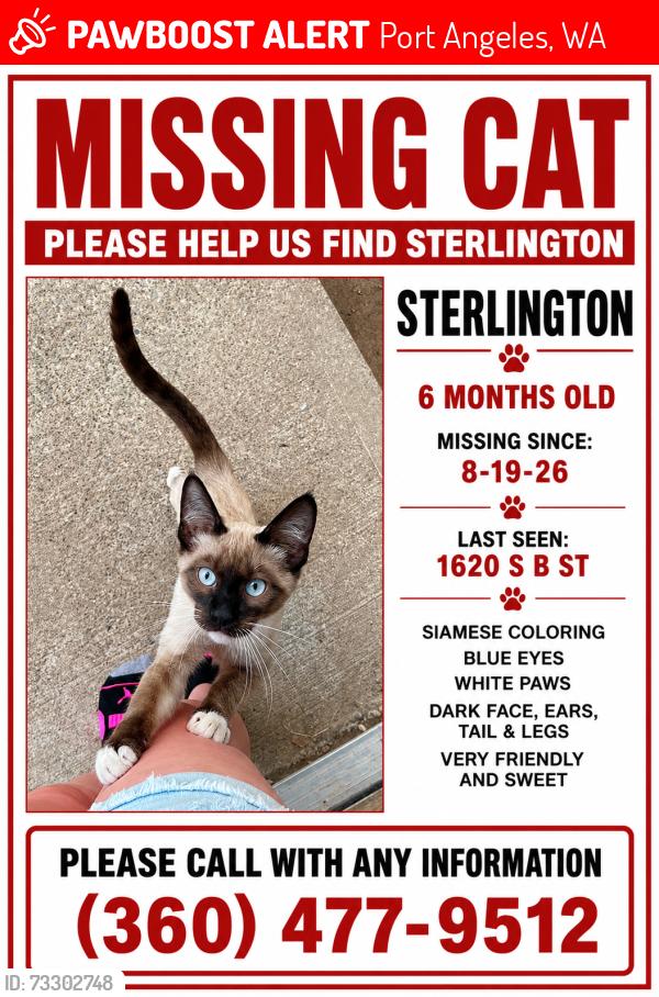 Lost Male Cat last seen 17th and B street, Port Angeles, WA 98363