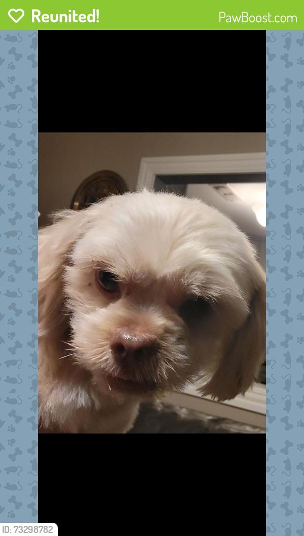 Reunited Male Dog last seen Holmgreen and WW White, San Antonio, TX 78220