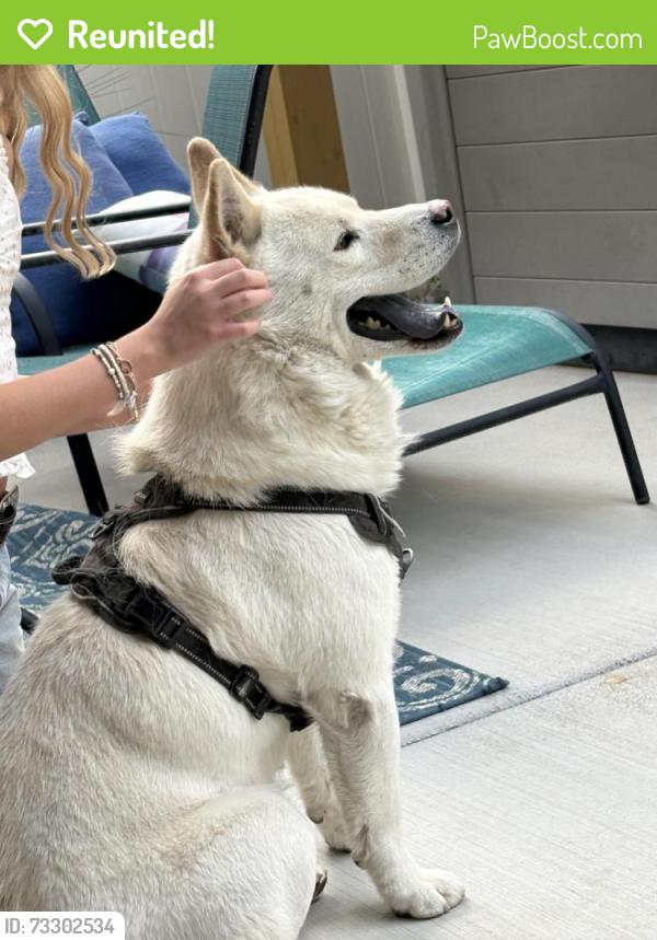 Reunited Male Dog last seen hses, West Jordan, UT 84081