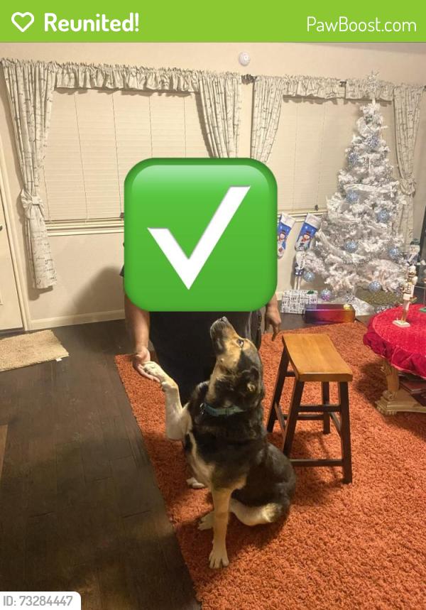 Reunited Male Dog last seen Fletcher & Gaillardia Way, Heartland, TX 75126
