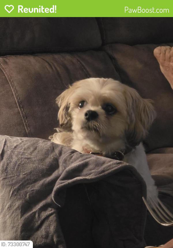 Reunited Male Dog last seen Candelaria and Rio grande., Albuquerque, NM 87107