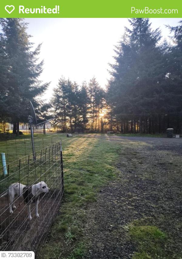 Reunited Male Dog last seen None, Chehalis, WA 98532