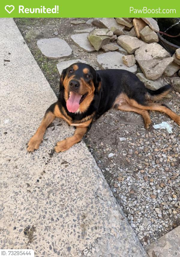 Reunited Male Dog last seen West Morris hill Road, Covington, VA 24426