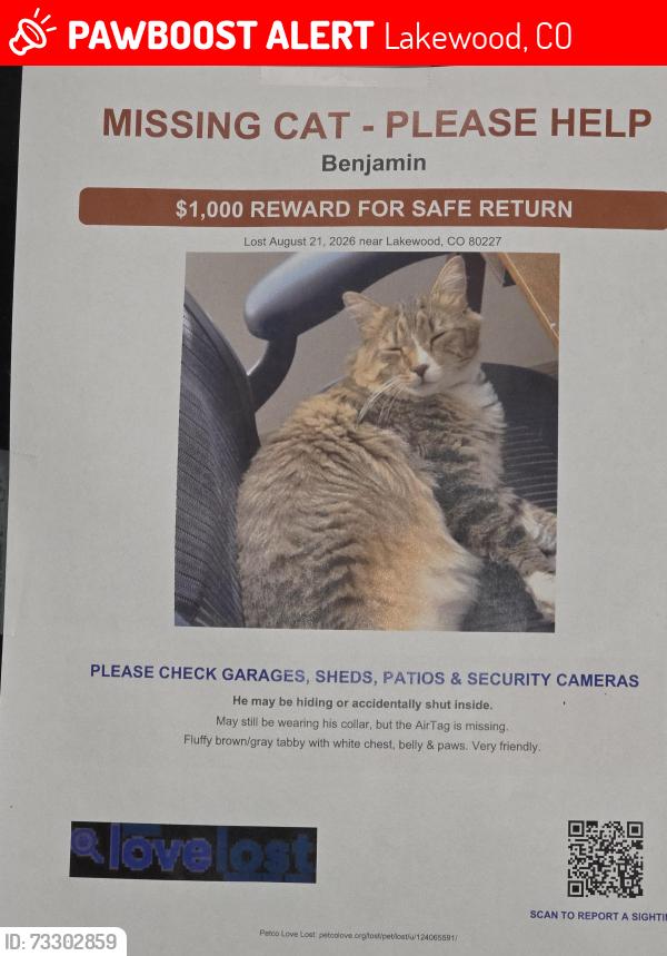 Lost Male Cat last seen Morrison and S Kipling St, Lakewood, CO 80227