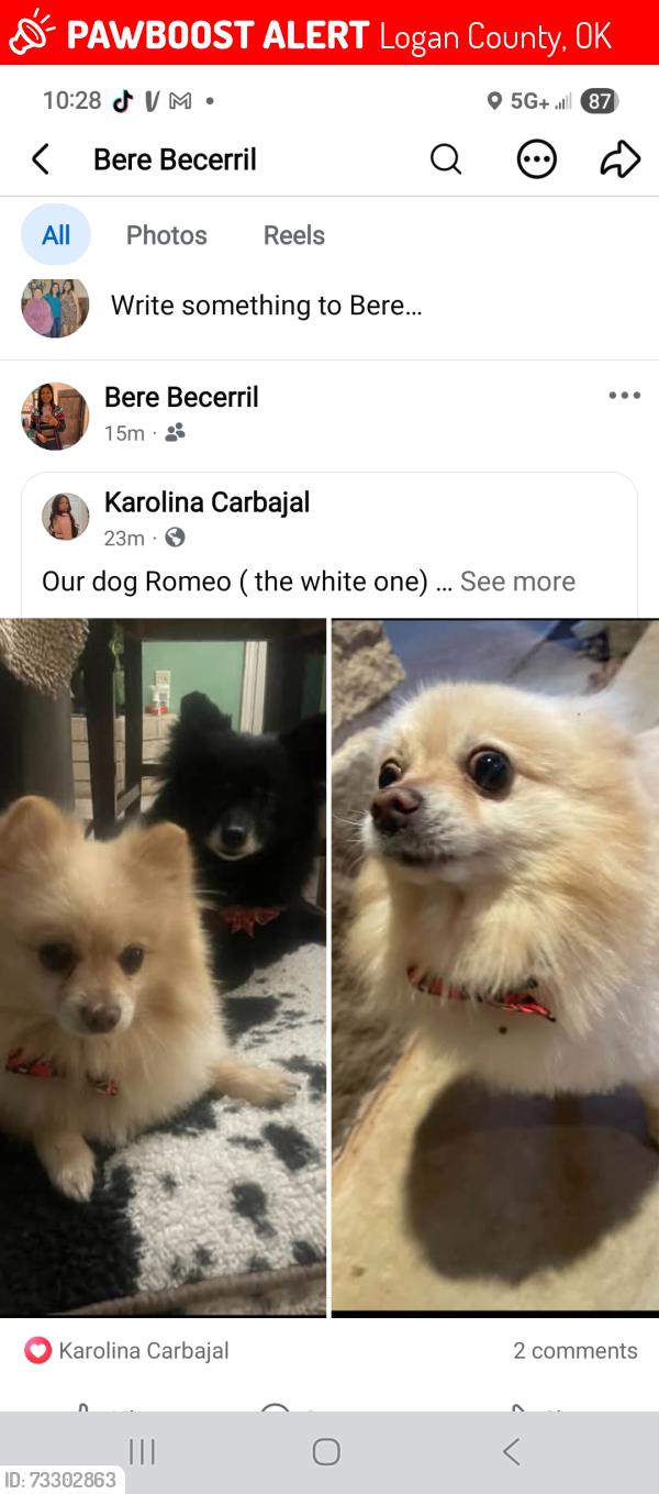 Lost Male Dog last seen Charter oaks and sooner rd, Logan County, OK 73034