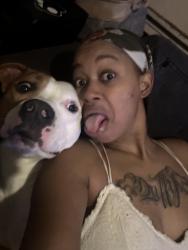 Lost Male Dog last seen Milwaukee & Adelaide, Pittsburgh, PA 15219