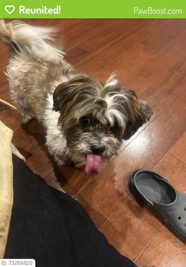 Reunited Male Dog last seen Abe lincoln, San Antonio, TX 78240