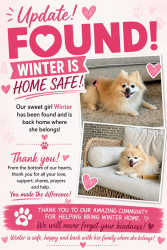 Reunited Female Dog last seen Timber Forest & Madera Run, Atascocita, TX 77346