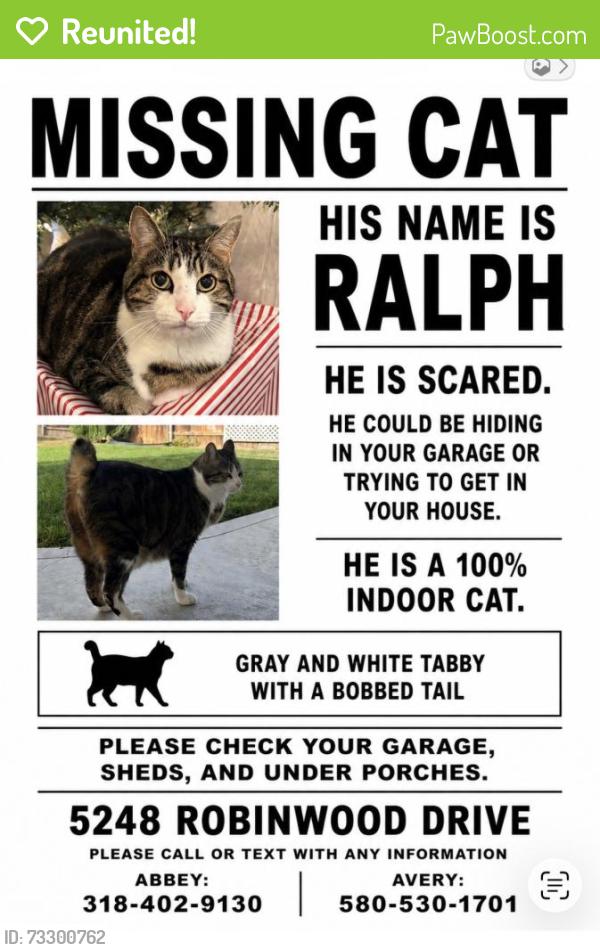 Reunited Male Cat last seen Near Robinwood Dr, Oceanside, CA 92056, USA, Oceanside, CA 92056