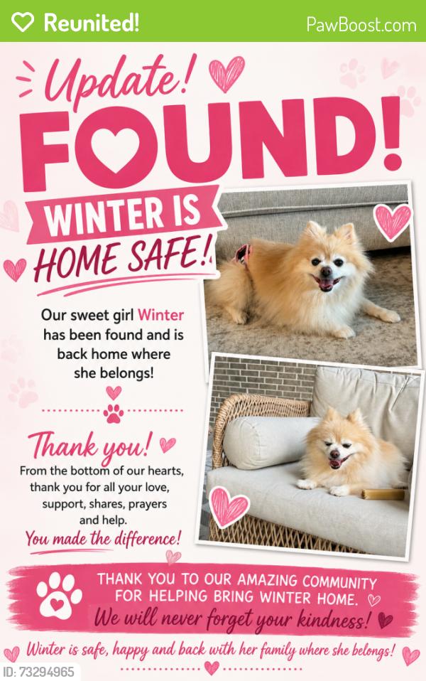 Reunited Female Dog last seen Timber Forest & Madera Run, Atascocita, TX 77346
