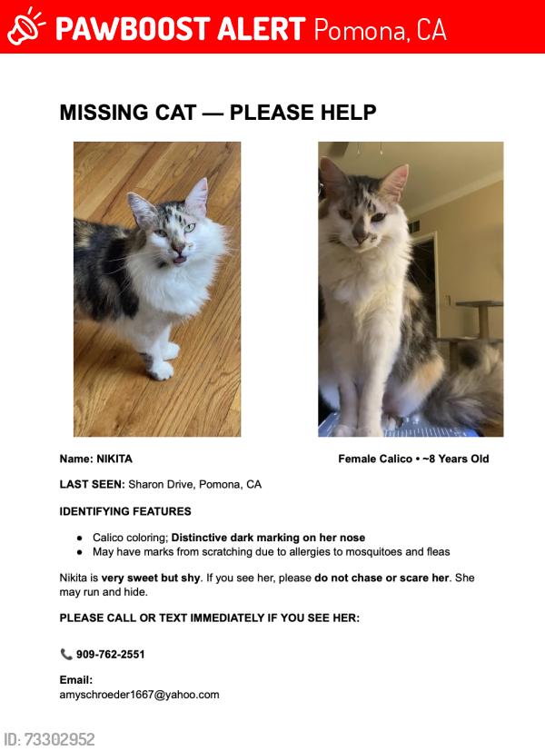 Lost Female Cat last seen LaVerne and Garey (on Sharon Drive, Pomona 91767), Pomona, CA 91767