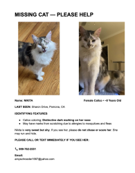 Lost Female Cat last seen LaVerne and Garey (on Sharon Drive, Pomona 91767), Pomona, CA 91767