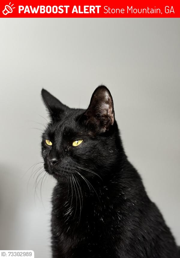 Lost Male Cat last seen Goldsmith Dr & E Ponce De Leon Ave, Stone Mountain, GA 30083