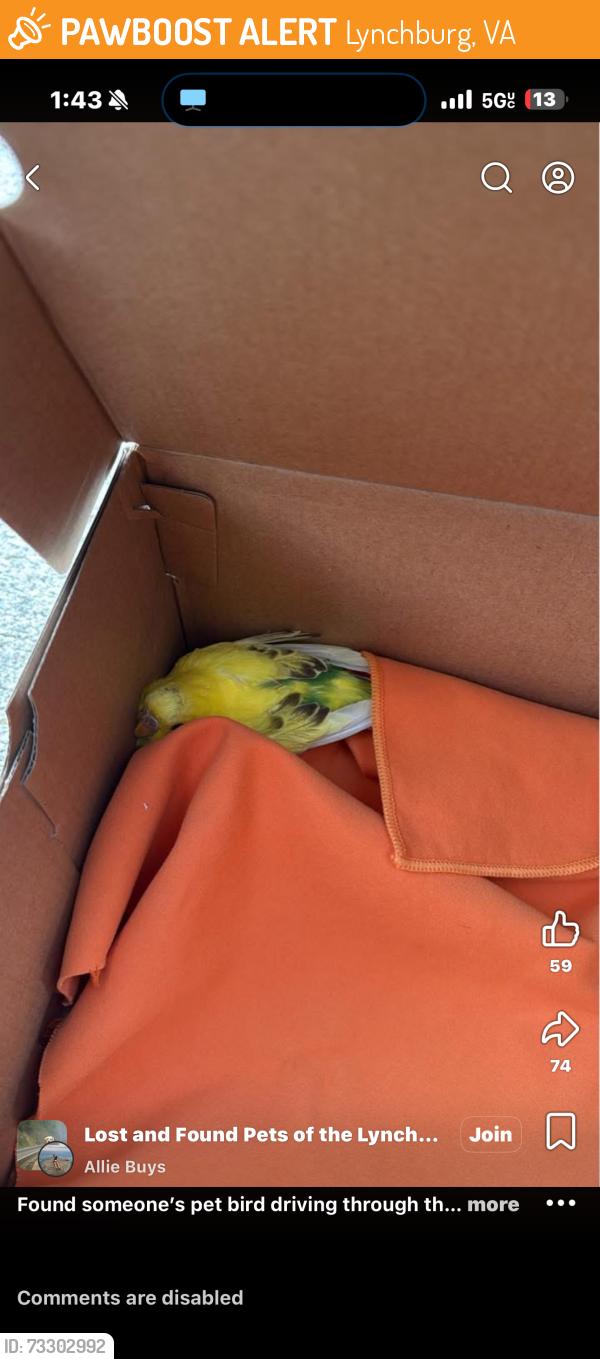 Found/Stray Unknown Bird last seen humane society, Lynchburg, VA 24505