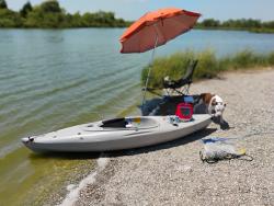 Lost Male Dog last seen Milby Harrisburg, Houston, TX 77003