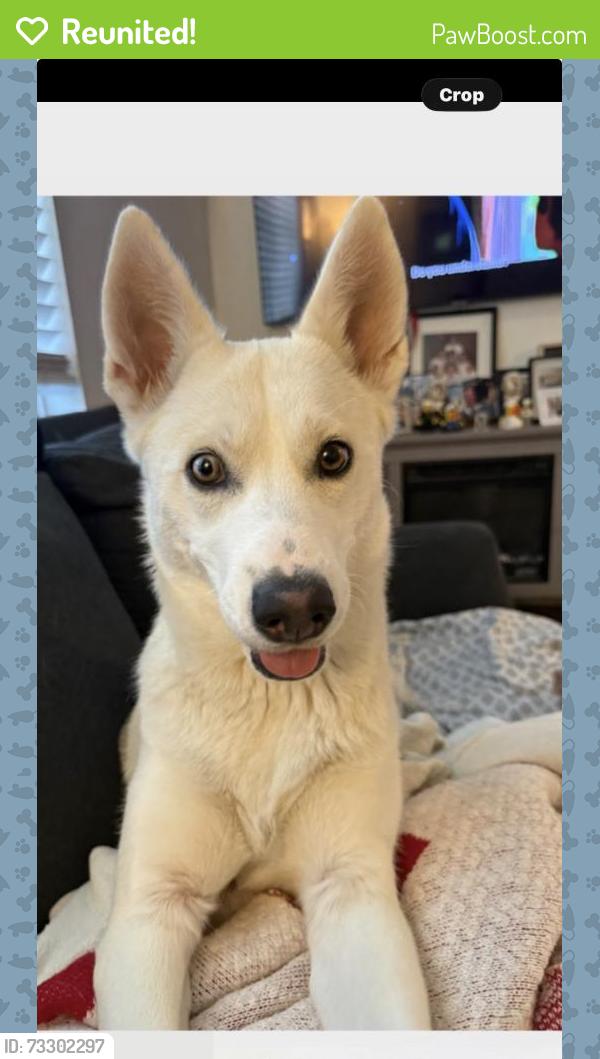Reunited Female Dog last seen Huntington drive & Eastern, Los Angeles, CA 90032