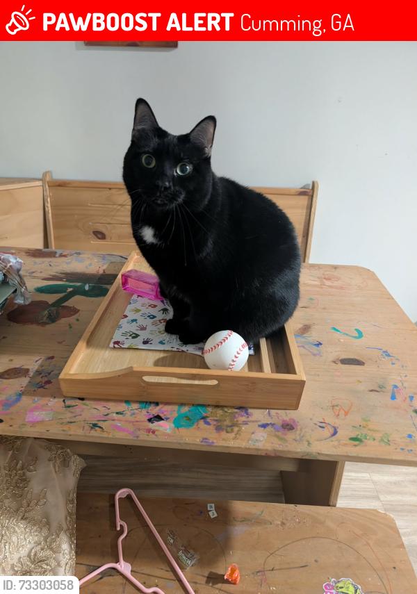 Lost Female Cat last seen Near Oaks Senior Living at Post Rd and Hwy 20, Cumming, GA 30040