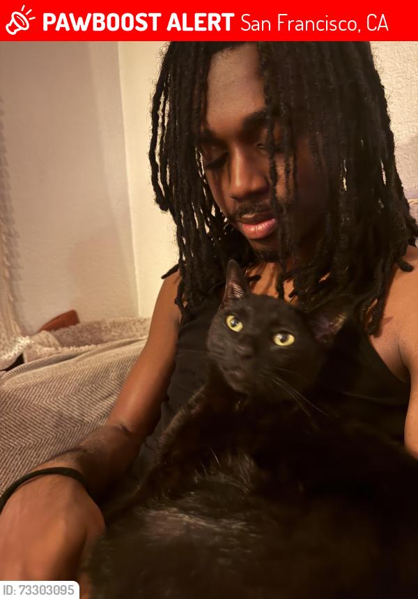 Lost Male Cat last seen Near 25th Avenue, San Francisco, 94122, San Francisco, CA 94122