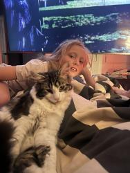 Lost Male Cat last seen Dover lock, Park Lane, Warrington Road, Abram, England 